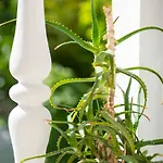 Split Private House - Terrace, Free Parking & Comfort